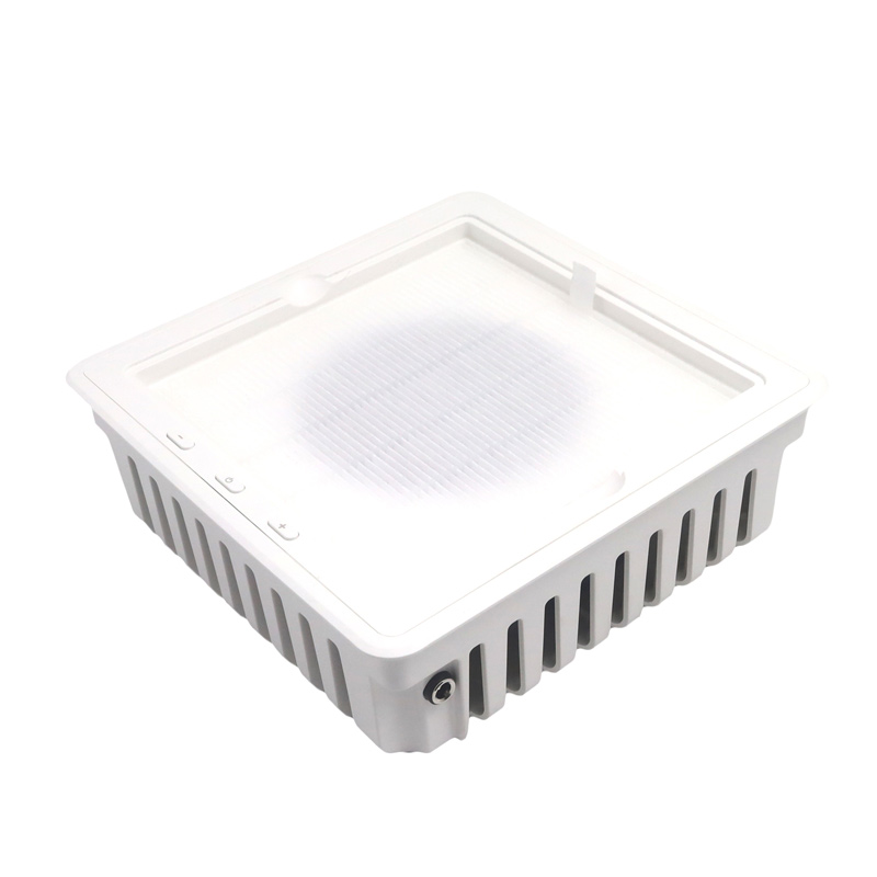 گرد و غبار گیر حرفه ای ناخن